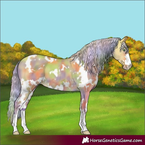 Horse Color:Nacre White Spotted Gold Cream Champagne Dun Varnish 