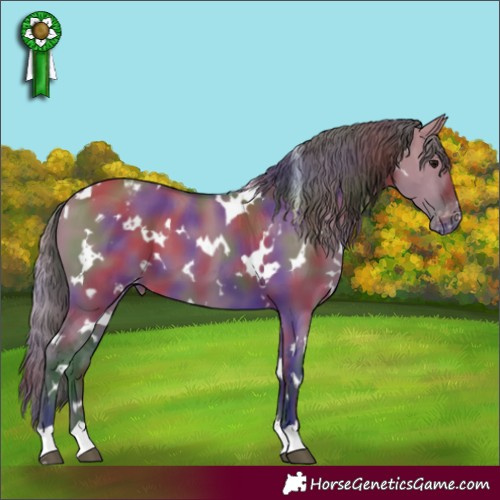 Horse Color:Nacre White Spotted Grullo Varnish 