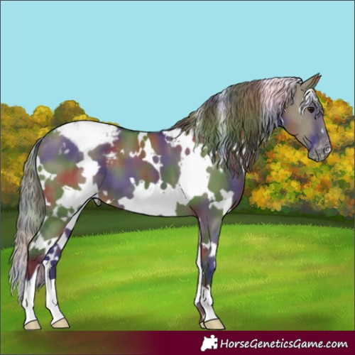 Horse Color:Nacre White Spotted Smoky Grullo Snowcap 