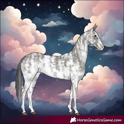 Horse Color:Grullo Sabino Rabicano 