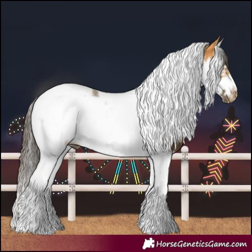 Horse Color:Buckskin Splash Tobiano Frame Rabicano