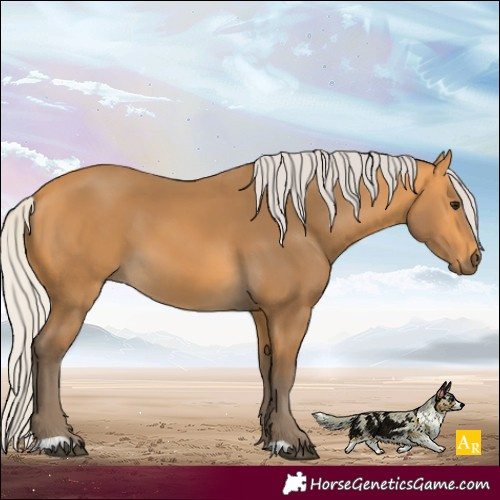 Horse Color:Silver Buckskin