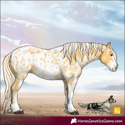 Horse Color:Palomino Sabino Blanket