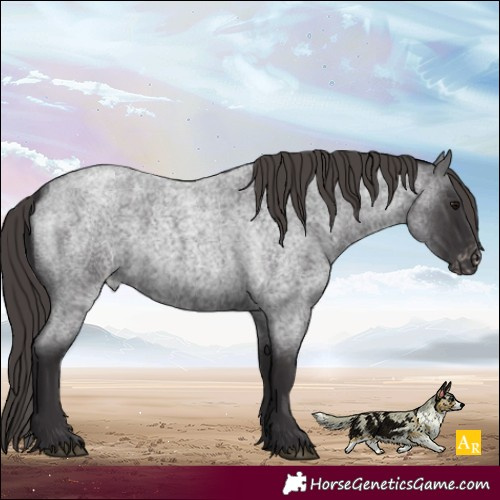 Horse Color:Smoky Blue Roan Varnish 