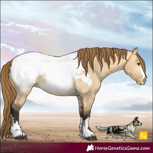 Horse Color:Buckskin Dun Snowcap 