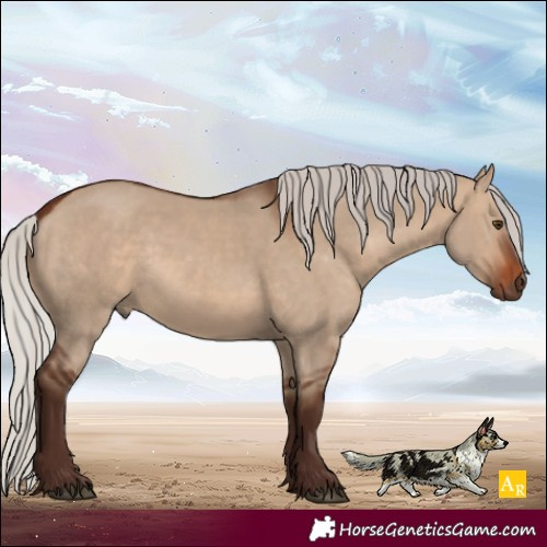 Horse Color:Silver Brown Dun 