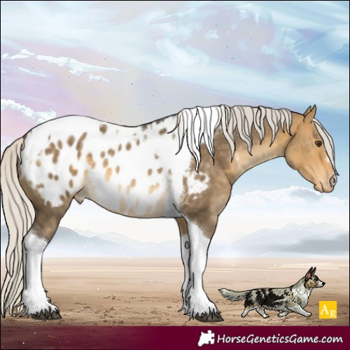 Horse Color:Silver Buckskin Dun Tobiano Blanket 