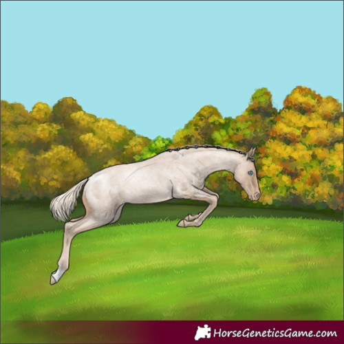 Horse Color:Chocolate Palomino Roan Pearl 