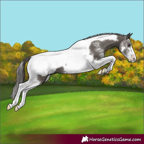 Horse Color:Smoky Grullo Sabino Tobiano Snowcap 