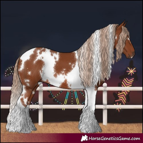 Horse Color:White Spotted Chestnut Tobiano 