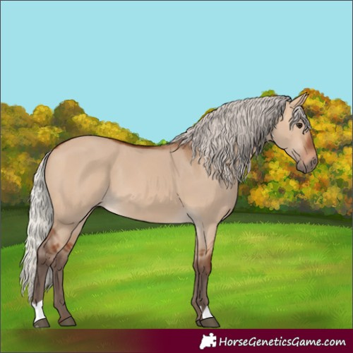 Horse Color:Silver Bay Dun
