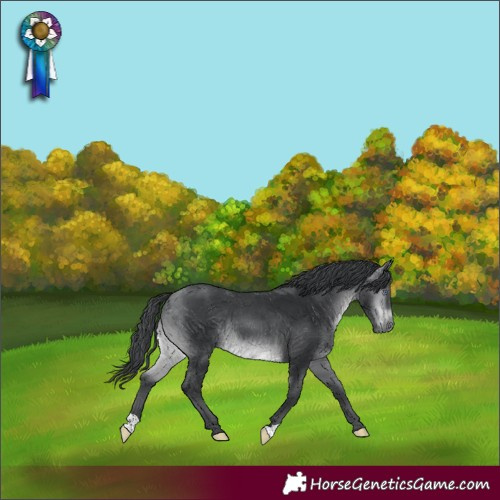 Horse Color:Brown Chinchilla 