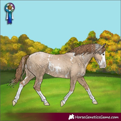 Horse Color:White Spotted Grullo Pearl Splash 