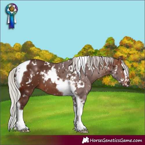 Horse Color:White Spotted Silver Brown Splash Tobiano 
