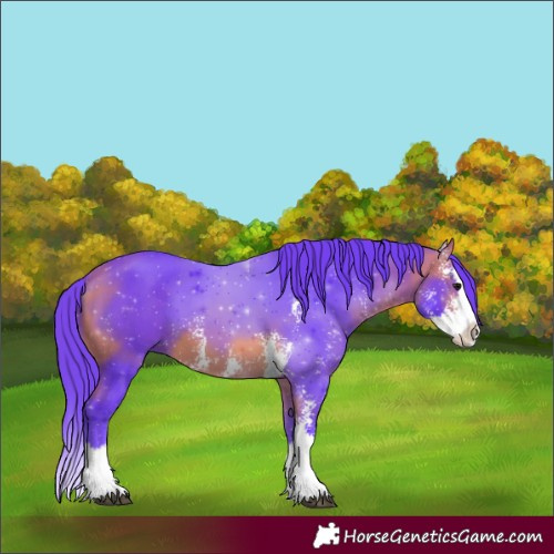 Horse Color:Watercolor Bay Sabino Splash 