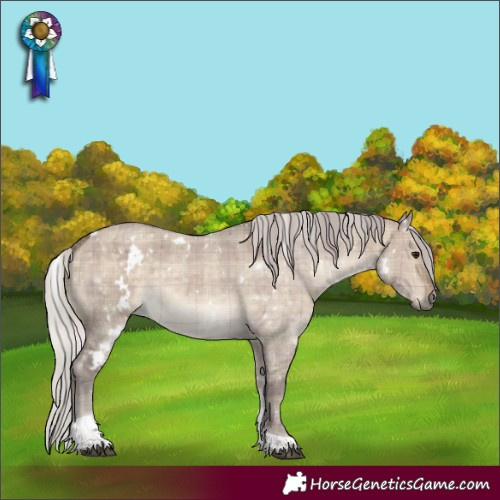 Horse Color:Plaid  White Spotted Silver Brown Dun Tobiano Rabicano 
