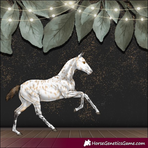 Horse Color:Buckskin Dun Near Leopard Rabicano 