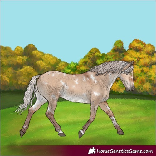 Horse Color:White Spotted Chocolate Silver Brown Dun