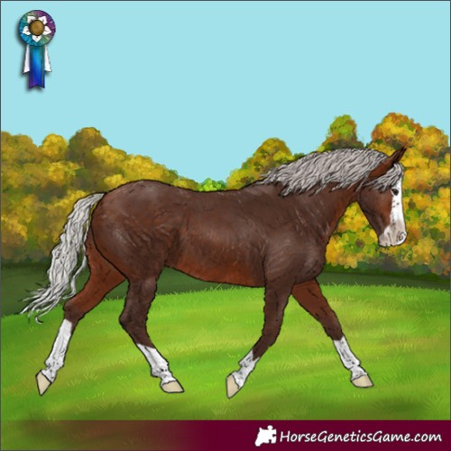 Horse Color:Silver Bay Splash Skewed LP Spotted 