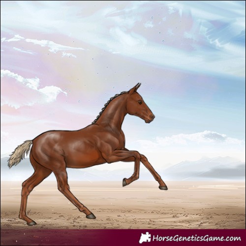 Horse Color:Chestnut Rabicano 