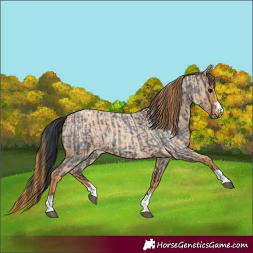Horse Color:Blue Roan Varnish  and Red Roan Varnish 