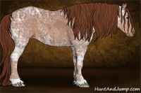Horse Color:Chestnut Ice 