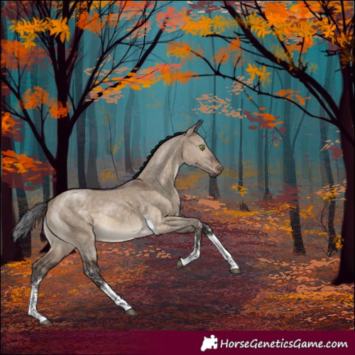 Horse Color:Brown Dun Sabino