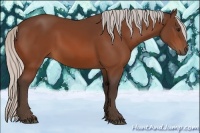 Horse Color:Silver Bay 