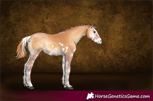 Horse Color:Red Onyx Skewed LP Spotted 