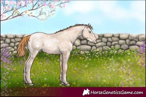 Horse Color:Gold Champagne Ice Pearl 