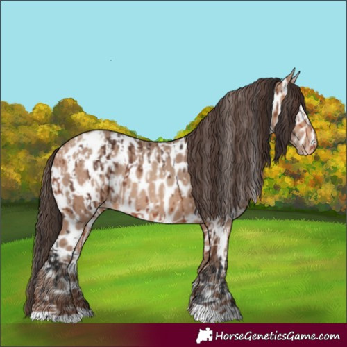 Horse Color:Bay Leopard  and Amber Champagne Leopard 