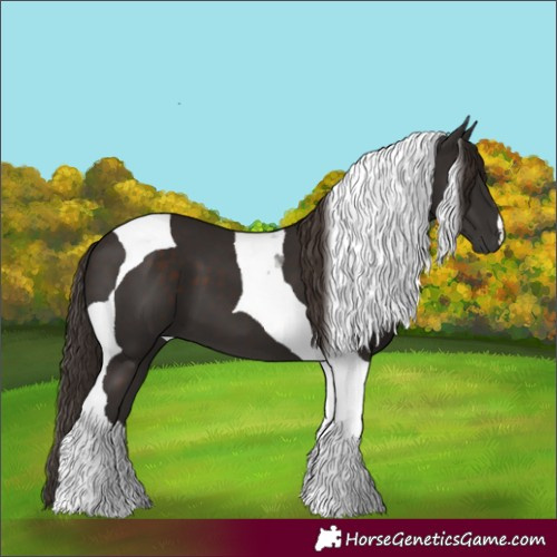 Horse Color:Liver Chestnut Tobiano 