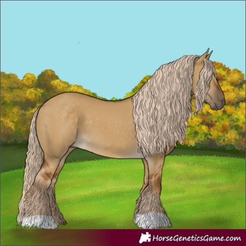 Horse Color:Chocolate Palomino Dun 