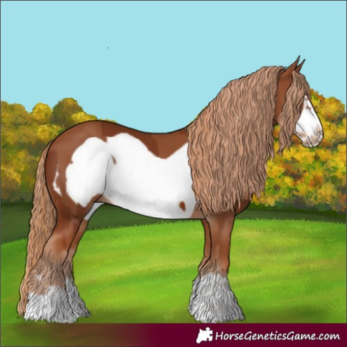 Horse Color:Chestnut Frame  and Chestnut Frame 