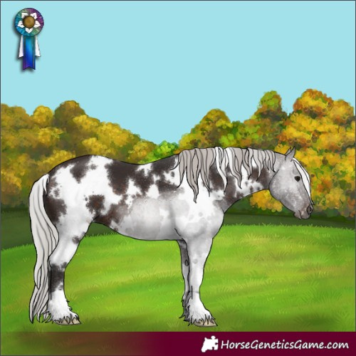 Horse Color:White Spotted Silver Brown