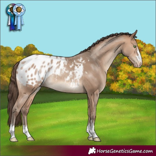 Horse Color:Amber Champagne Varnish Rabicano 