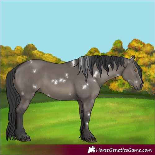 Horse Color:White Spotted Grullo Rabicano 