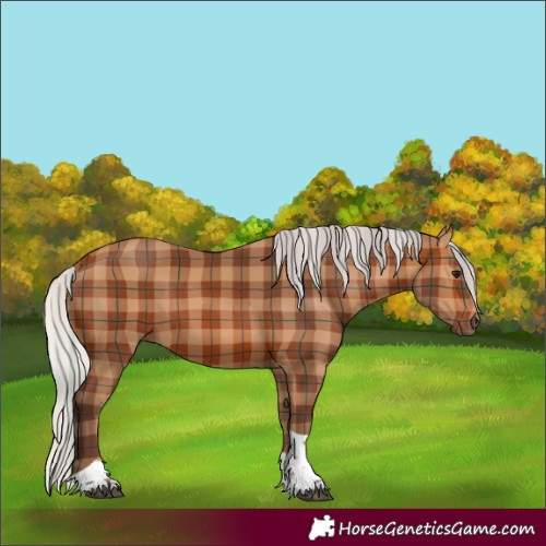 Horse Color:Plaid  Silver Bay Tobiano 