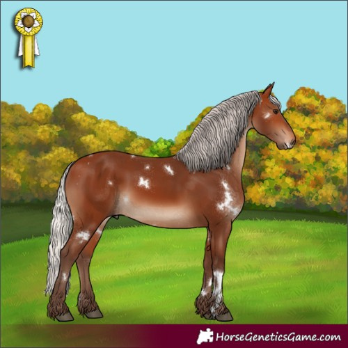 Horse Color:White Spotted Silver Brown