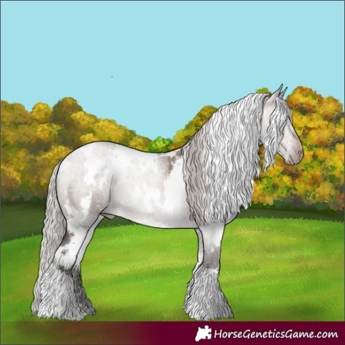 Horse Color:White Spotted Silver Brown Dun 