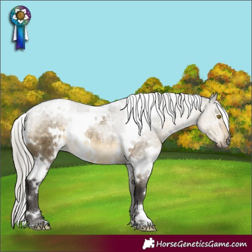 Horse Color:White Spotted Silver Buckskin Dun Rabicano 