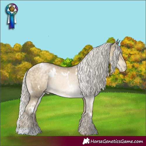 Horse Color:White Spotted Silver Buckskin Pearl Rabicano