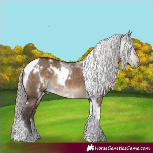 Horse Color:White Spotted Silver Brown Dun Tobiano Rabicano 