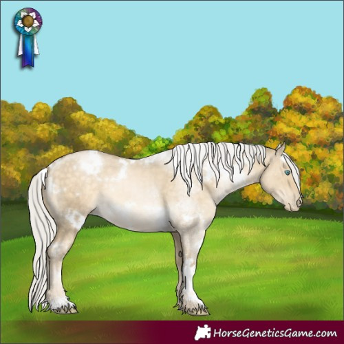 Horse Color:White Spotted Silver Buckskin Pearl Dun