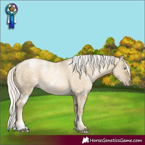 Horse Color:Powder White White Spotted Silver Buckskin Pearl Dun