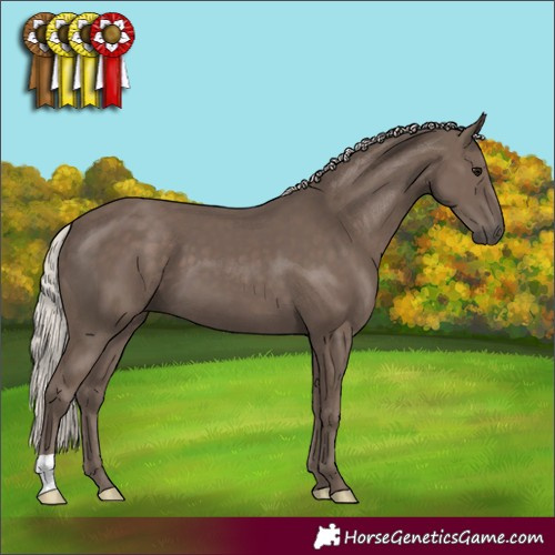 Horse Color:Silver Black