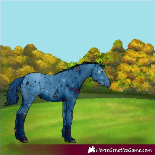 Horse Color:ERROR: UNKNOWN ANOMALY