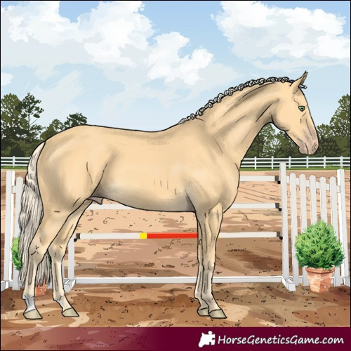 Horse Color:Gold Cream Champagne