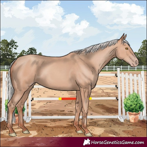 Horse Color:Silver Classic Champagne 