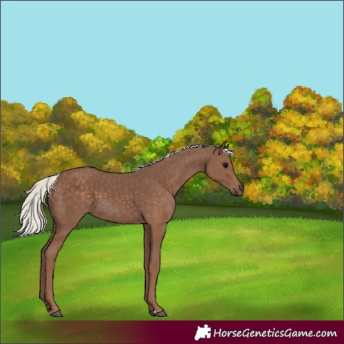 Horse Color:Silver Black 